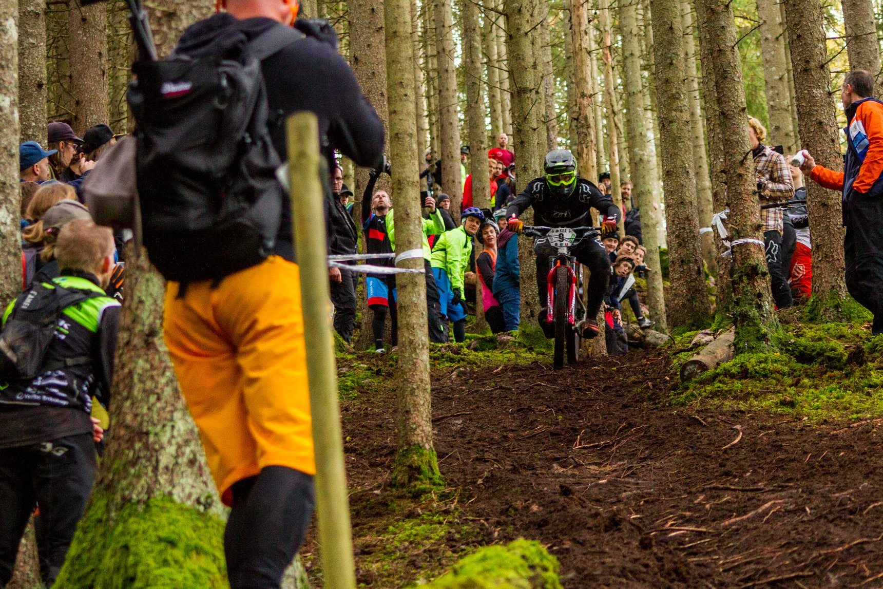 SWE Cup Enduro #6 - Isabike 2024